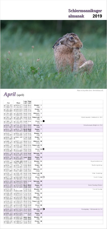 April-pagina op de Schiermonnikoger almanak 2019 met foto: Haas in de polder (foto: Folkert)