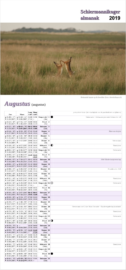 Augustus-pagina op de Schiermonnikoger almanak 2019 met foto: Boksende hazen op de kwelder tussen het hoge gras (foto: Folkert)
