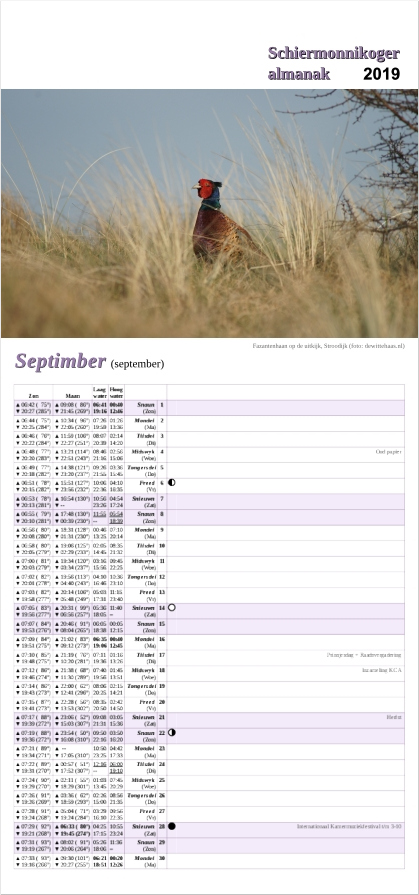 September-pagina op de Schiermonnikoger almanak 2019 met foto: Een fazant in het gras kijkt in de lens (foto: Marjolein)