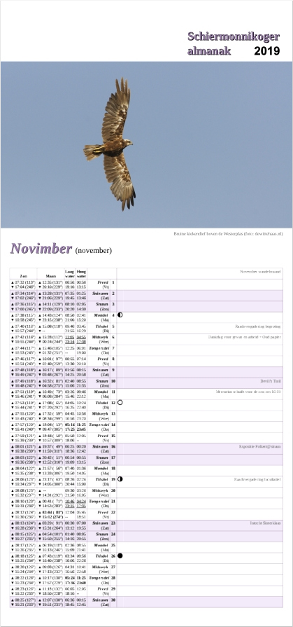 November-pagina op de Schiermonnikoger almanak 2019 met foto: Een vliegende bruine kiekendief met de vleugels gespreid langs onder gefotografeerd (foto: Marjolein)