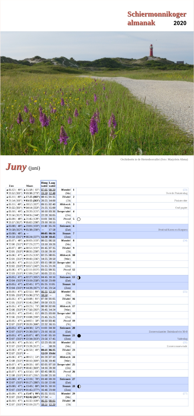 Juni-pagina op de Schiermonnikoger almanak 2020 met foto: Orchideeën in een veld langs het schelpenpad met de vuurtoren op de achtergrond (foto: Marjolein)