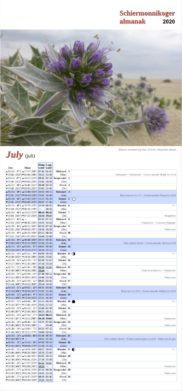 Juli-pagina op de Schiermonnikoger almanak 2020 met foto: Een bloeiende blauwe zeedistelplant op het strand met de zee op de achtergrond (foto: Marjolein)