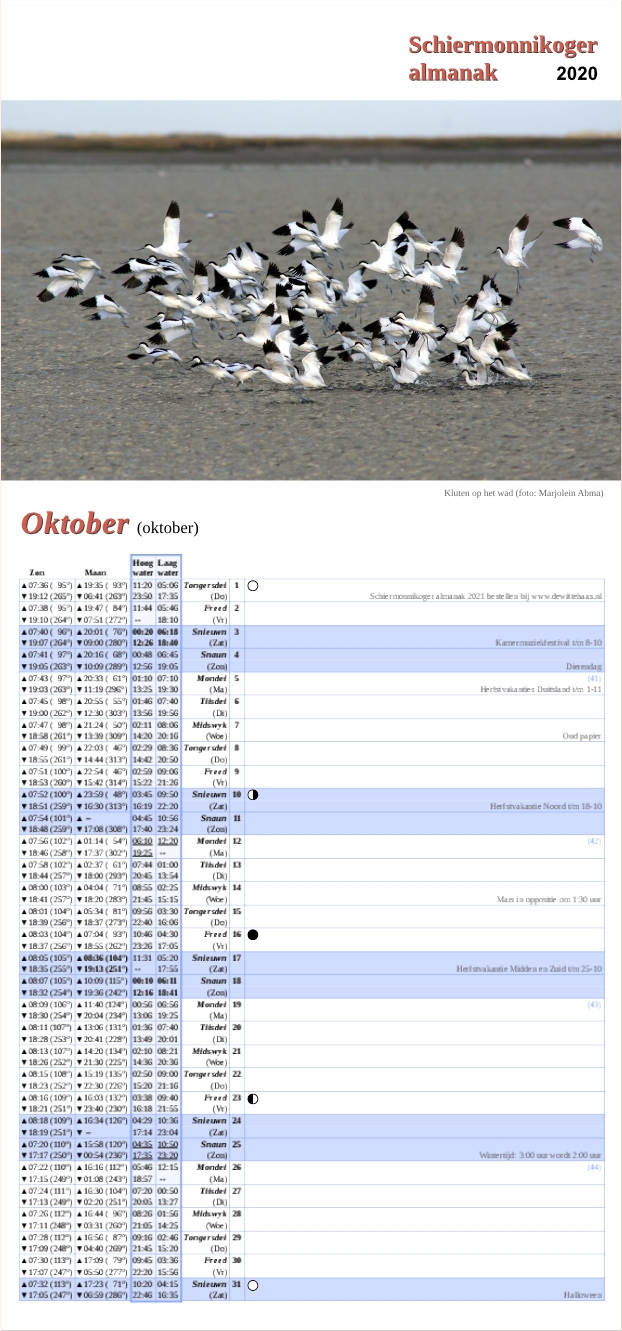 Oktober-pagina op de Schiermonnikoger almanak 2020 met foto: Een troep kluten vliegt op vanuit het water. De rand van de kwelder op de achtergrond. (foto: Marjolein)