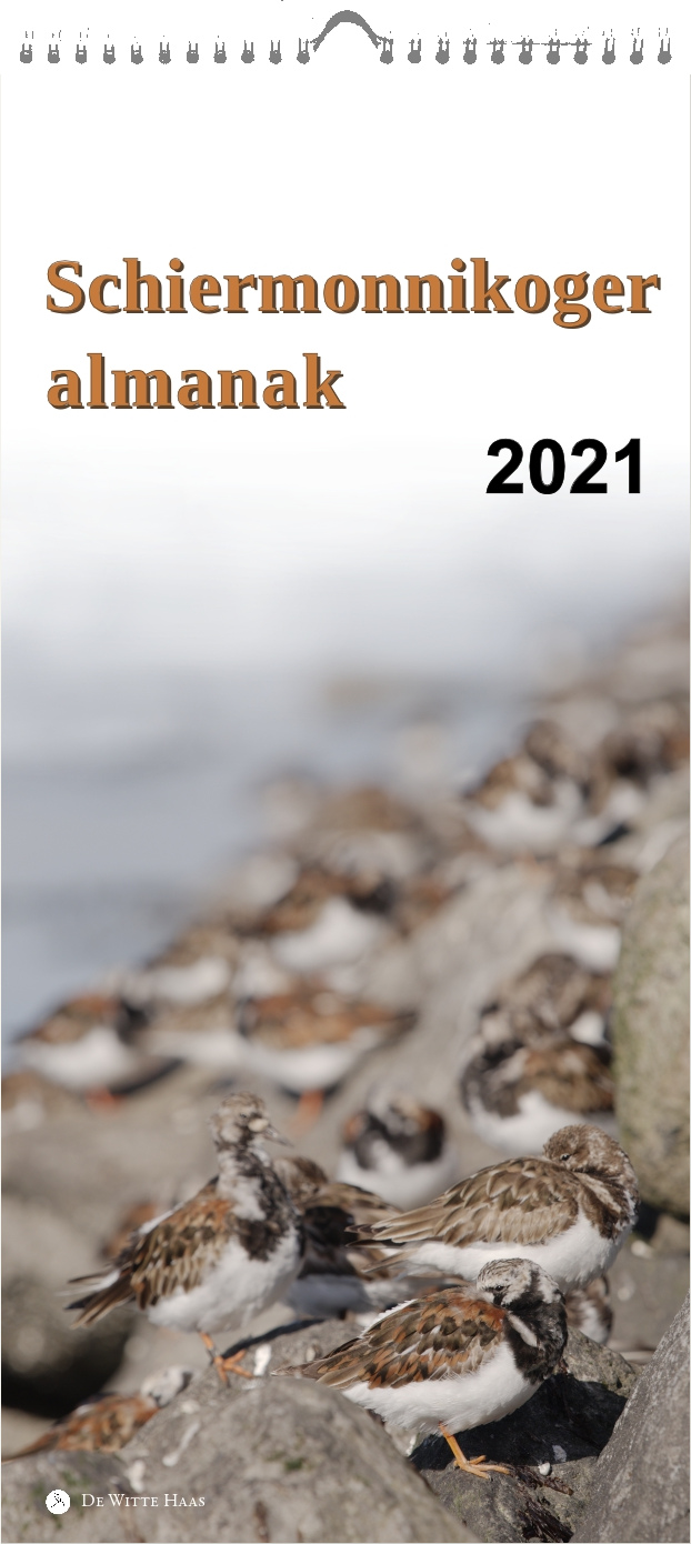 Foto van steenlopertjes op de stenen blokken langs de wadkant. Bovenaan staat gedrukt "Schiermonnikoger almanak 2021"
