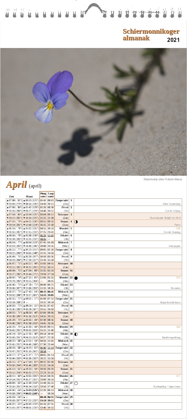April-pagina op de Schiermonnikoger almanak 2021 met foto: Eén duinviooltje met schaduw hangt boven een zandduin. (foto: Folkert)