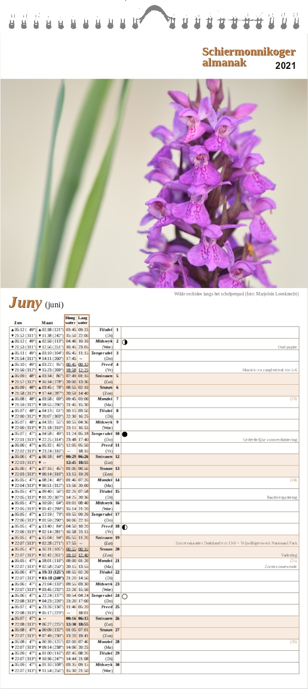 -pagina op de Schiermonnikoger almanak 2021 met foto: Een orchidee met roze bloemetjes en drie verticale smalle groene bladeren tegen een onscherpe okerkleurige achtergrond. (foto: Marjolein)