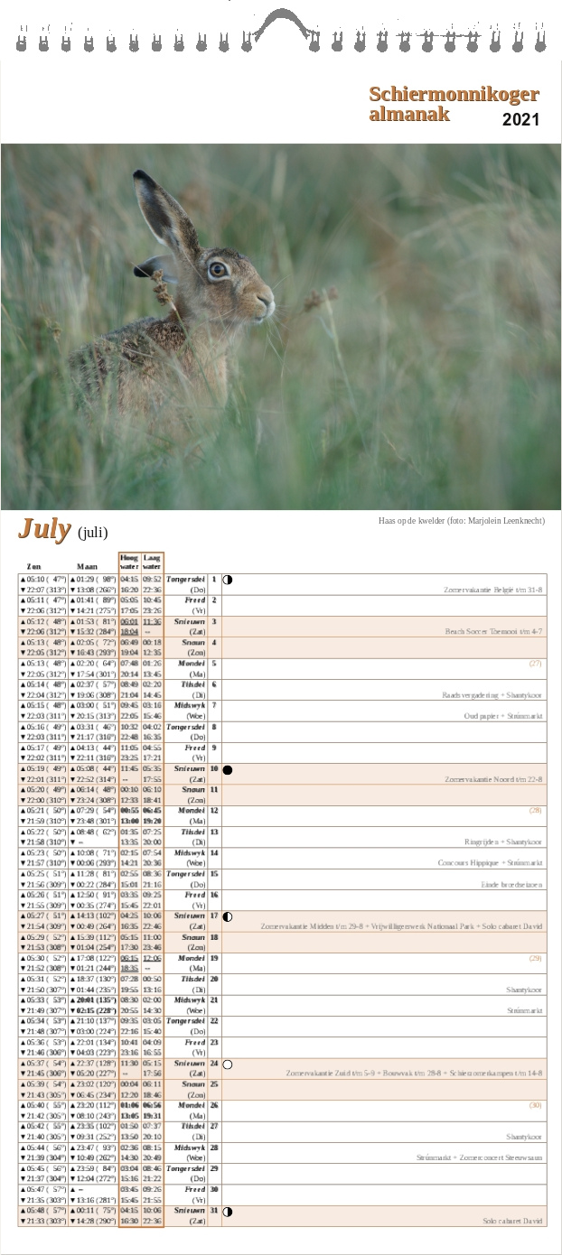 Juli-pagina op de Schiermonnikoger almanak 2021 met foto: Een haas zit rechtop en kijkt van tussen het gras in de lens. (foto: Marjolein)
