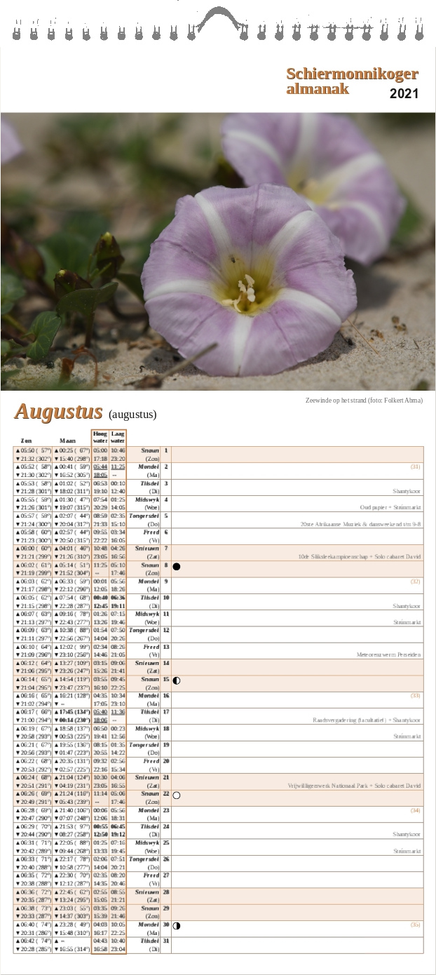Augustus-pagina op de Schiermonnikoger almanak 2021 met foto: Twee bloemen van zeewinde liggen op het zand . (foto: Folkert)