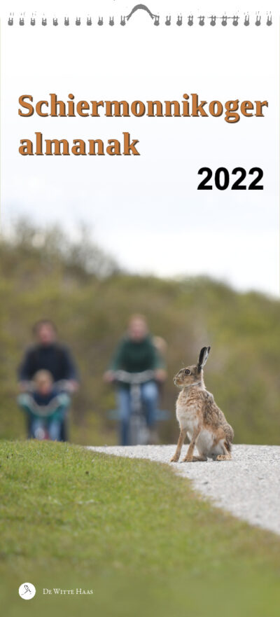 Voorpagina van de Schiermonnikoger almanak 2022 met foto: een haas op het schelpenpad Minne Onnespad, Schiermonnikoog, met op de achtergrond fietsers (foto: Marjolein)