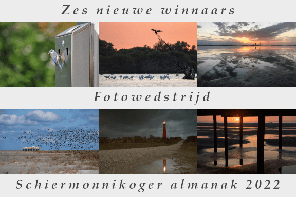 thumbnails van de winnende natuurfoto's, allen gemaakt op Schiermonnikoog