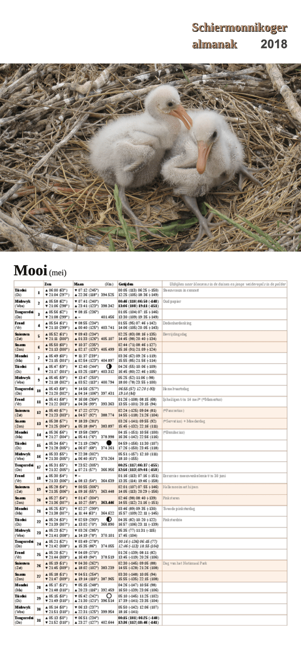 Mei-pagina op de Schiermonnikoger almanak 2018 met foto: Jonge lepelaars op het nest (foto: Marjolein)