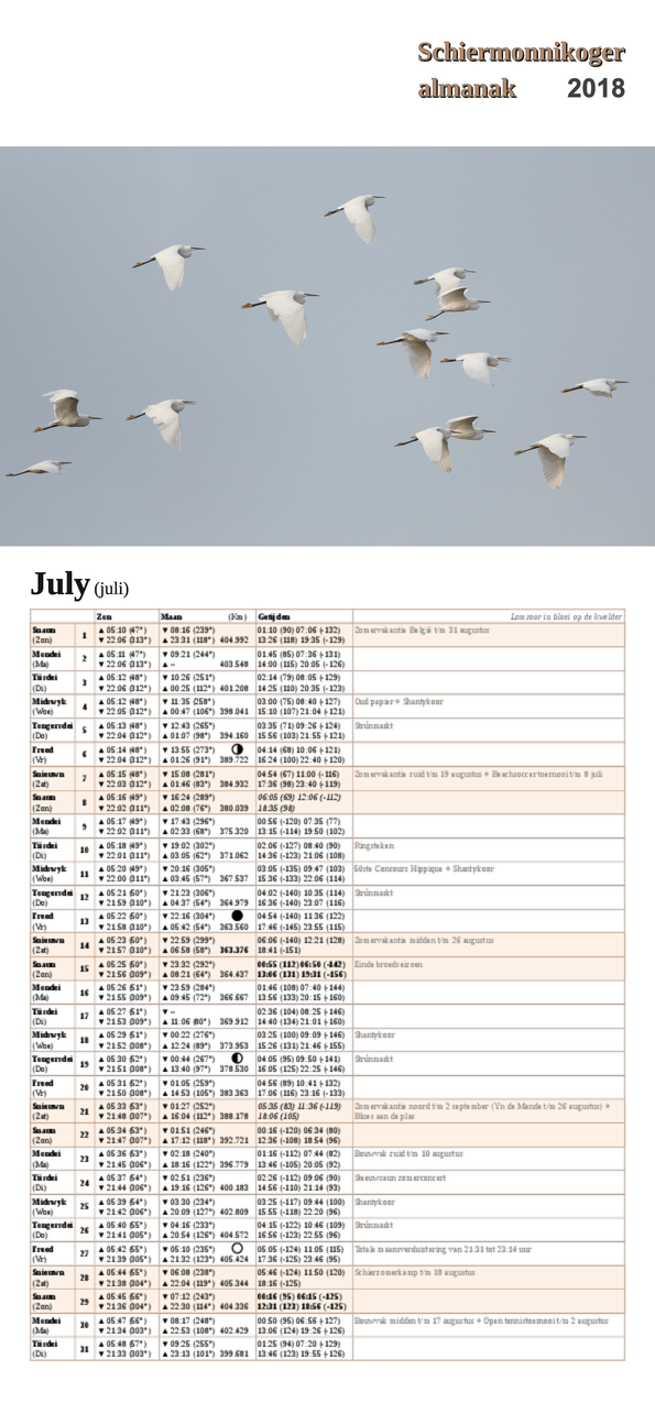 Juni-pagina op de Schiermonnikoger almanak 2018 met foto: Een vlucht kleine zilverreigers (foto: Marjolein)
