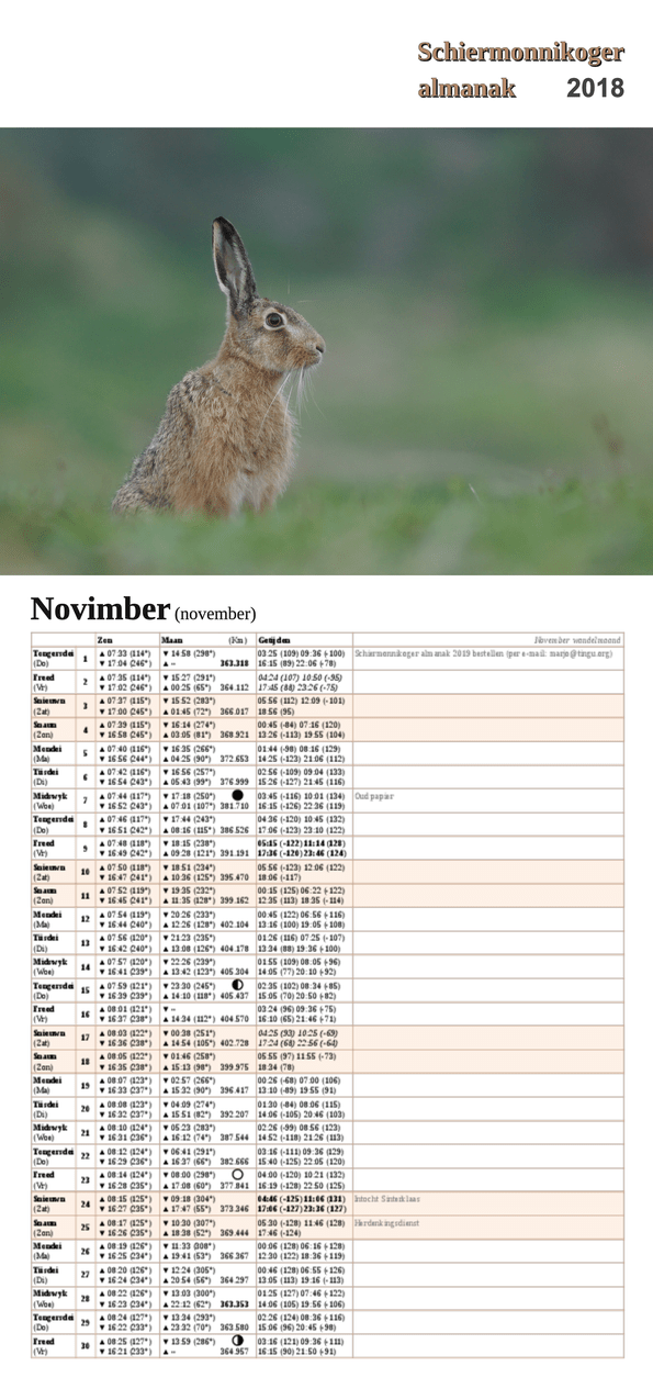 November-pagina op de Schiermonnikoger almanak 2018 met foto: Nieuwsgierige haas in het gras kijkt in de lens (foto: Marjolein)