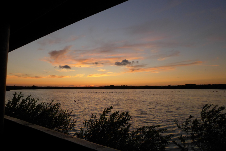 oranje-roze gekleurde lucht na zonsondergang boven een wateroppervlak met op de voorgrond de gevel van een vogelkijkhut en struikgewas