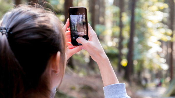 Een jongedame met smartphone in de hand fotografeert de bomen in het bos.