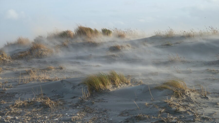 Zand stuivend op de helling van een duin met hier en daar wat begroeiing, strijklicht