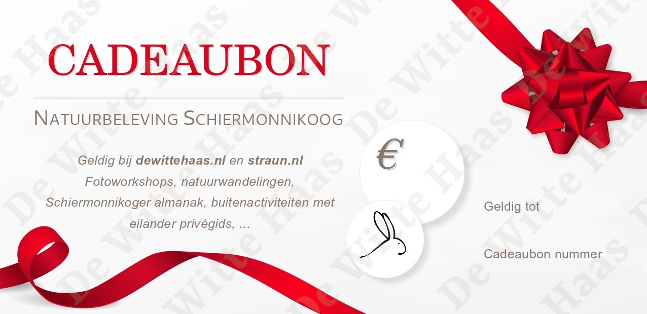 Met rode strik versierde cadeaubon met opschrift "geldig bij dewittehaas.nl en straun.nl"