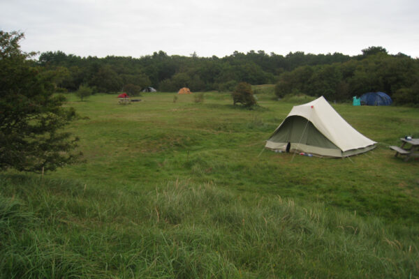 enkele tenten op een groot kampeerterrein met gras en lage struiken.