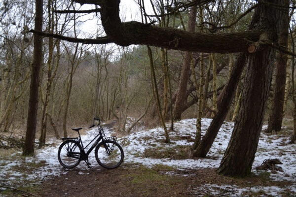 fiets op een bospad in de sneeuw