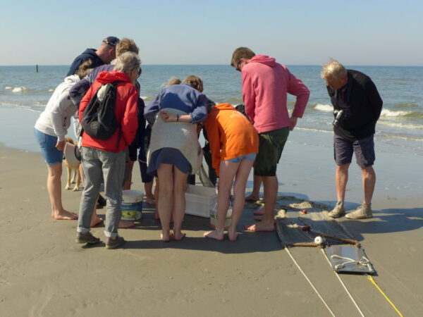 Groep volwassenen en kinderen op het strand buigen geïnteresseerd over een plastic opvangbak.