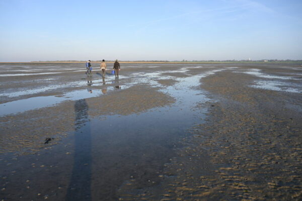 drie personen lopen over een wijdse natte moddervlakte