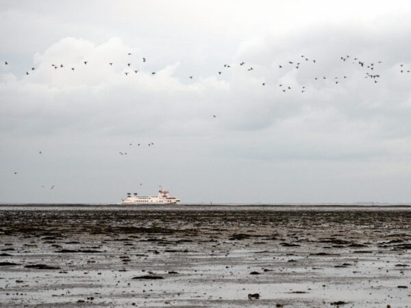 Een veerboot aan de horizon. Droogliggend wad op de voorgrond. Vogels overvliegend en wolkenlucht.