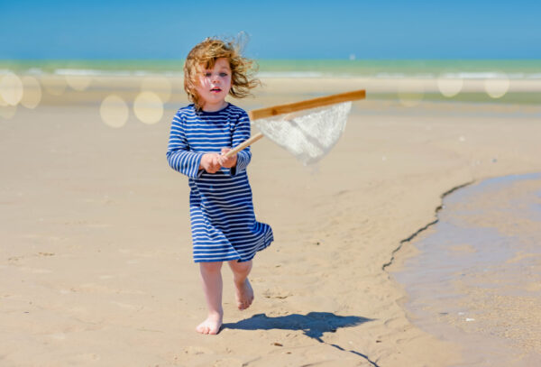meisje van ongeveer drie jaar met garnalen-net in de hand, lopend over het strand, kijkt naar de inhoud van het net.