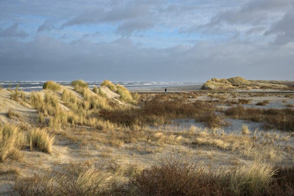 een geul zeewater doorkruist het strand