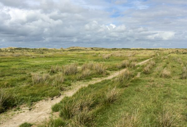 Een zandpad over een grote grasvlakte. In de verte wat begroeide duinen.