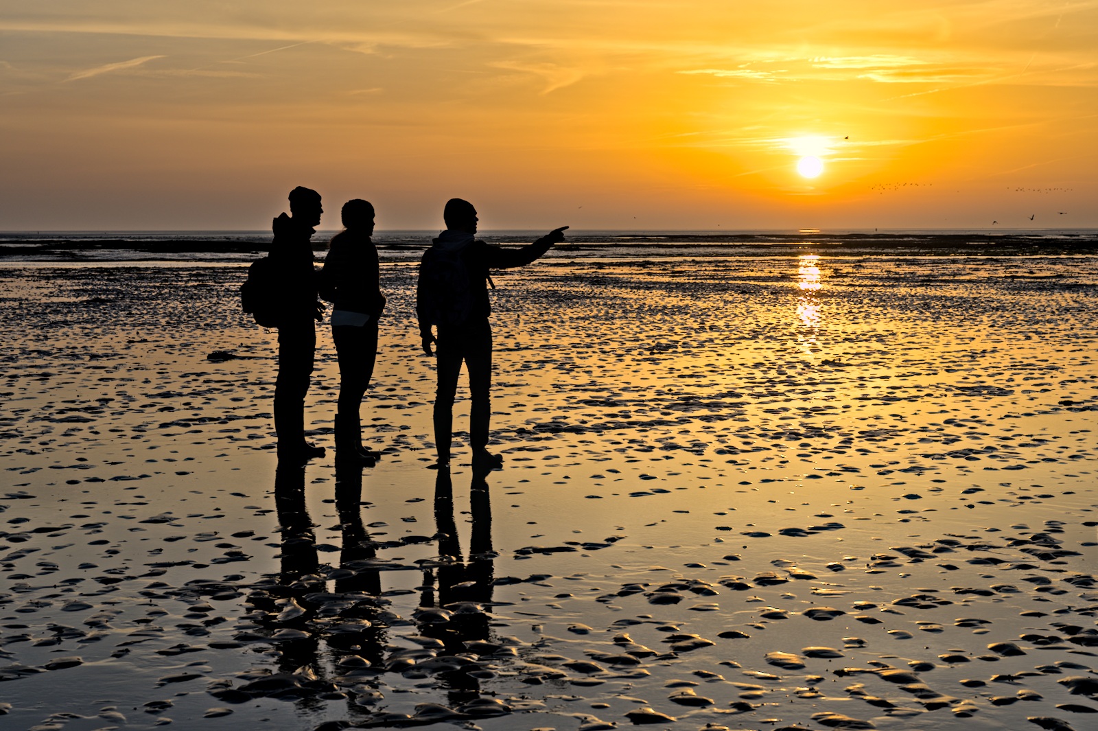 drie silhouetten bij zonsopkomst op de waddenzee. Laagwater.