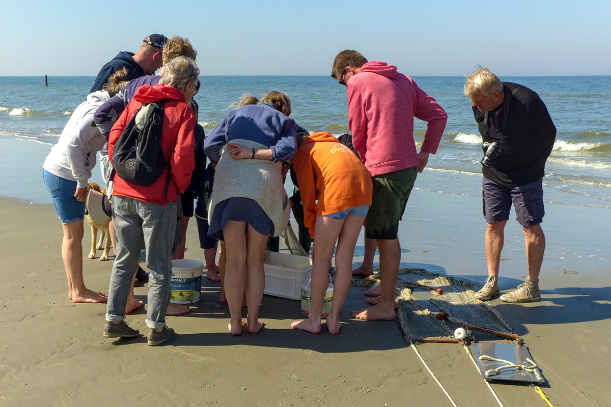 Groep volwassenen en kinderen op het strand buigen geïnteresseerd over een plastic opvangbak.