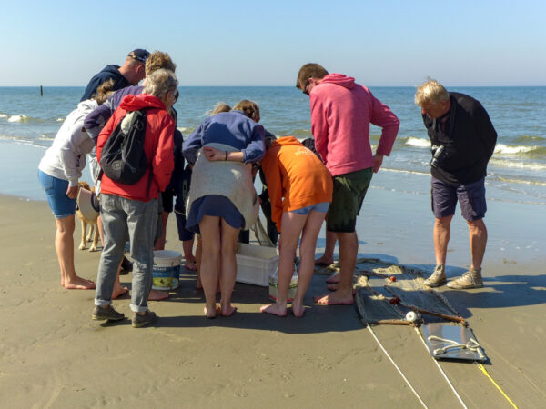 Groep volwassenen en kinderen op het strand buigen geïnteresseerd over een plastic opvangbak.