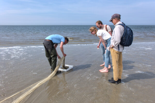 Mensen op het strand met een kornet