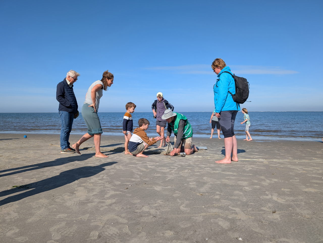 kinderen en volwassenen staan gebogen over bakken met zeedieren op het strand