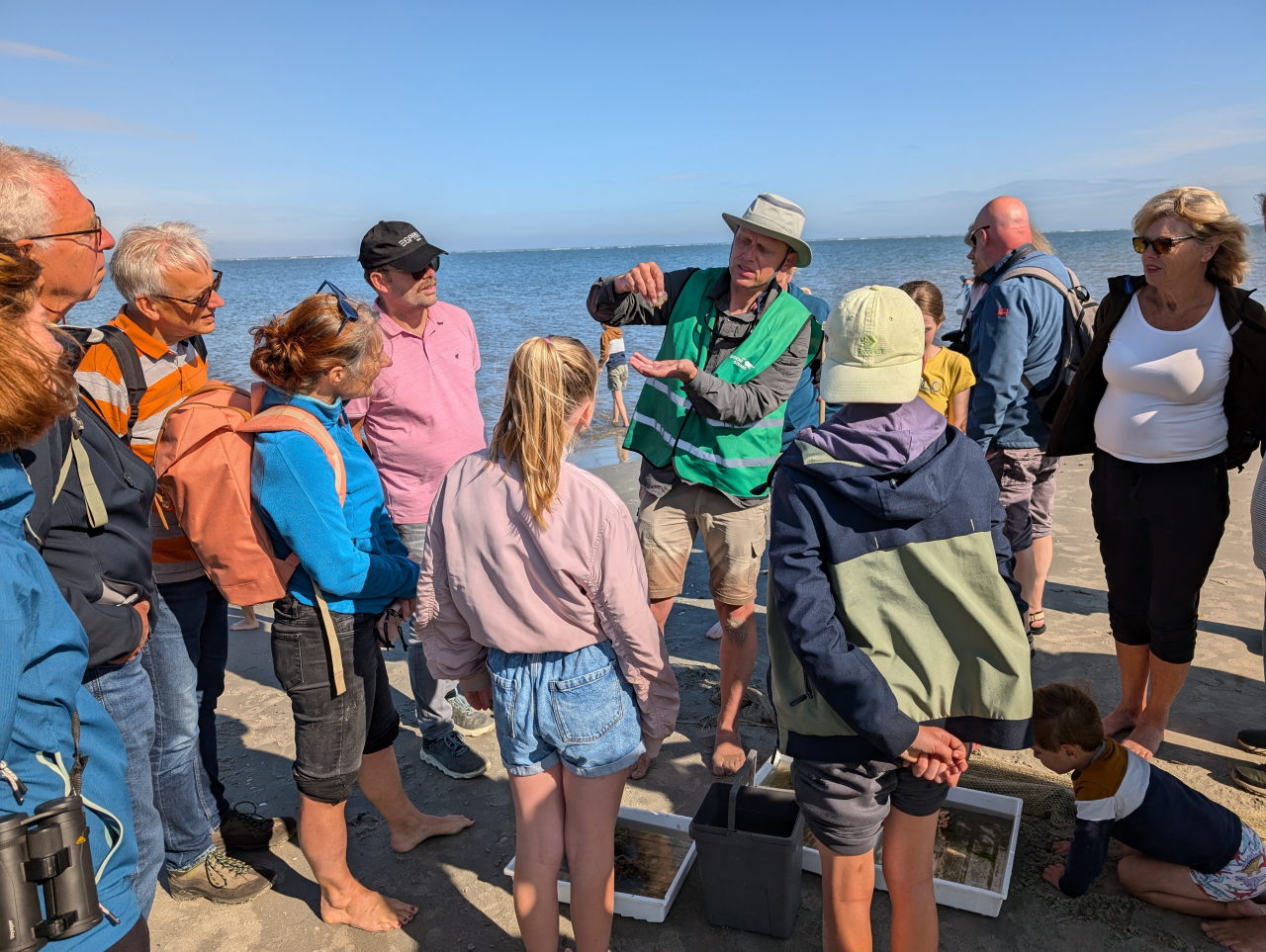 kinderen en volwassenen staan gebogen over bakken met zeedieren op het strand