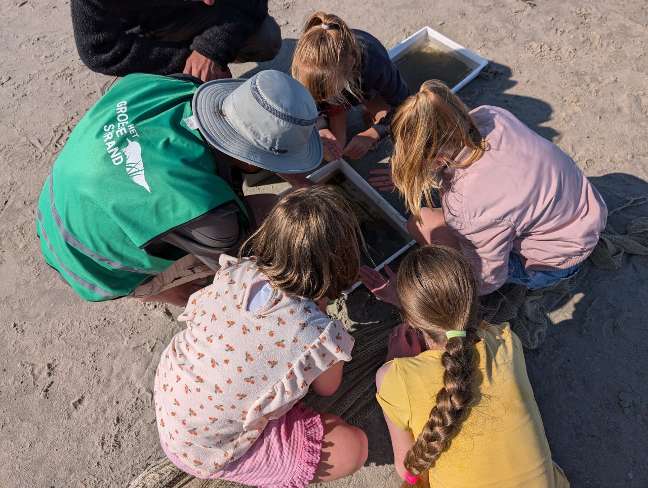 kinderen gebogen over bakken met zeeleven