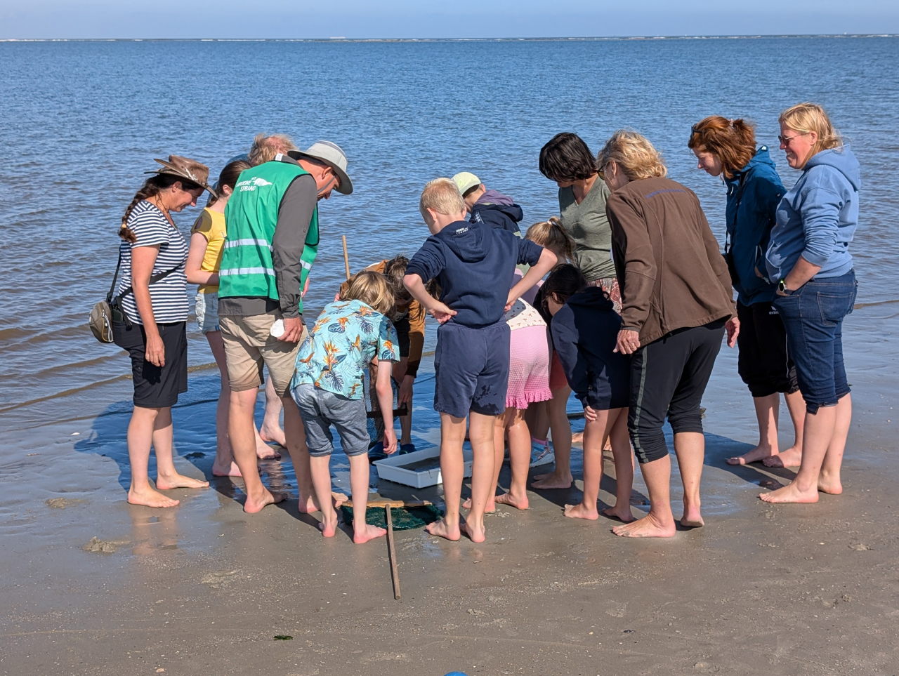 kinderen en volwassenen staan gebogen over bakken met zeedieren op het strand