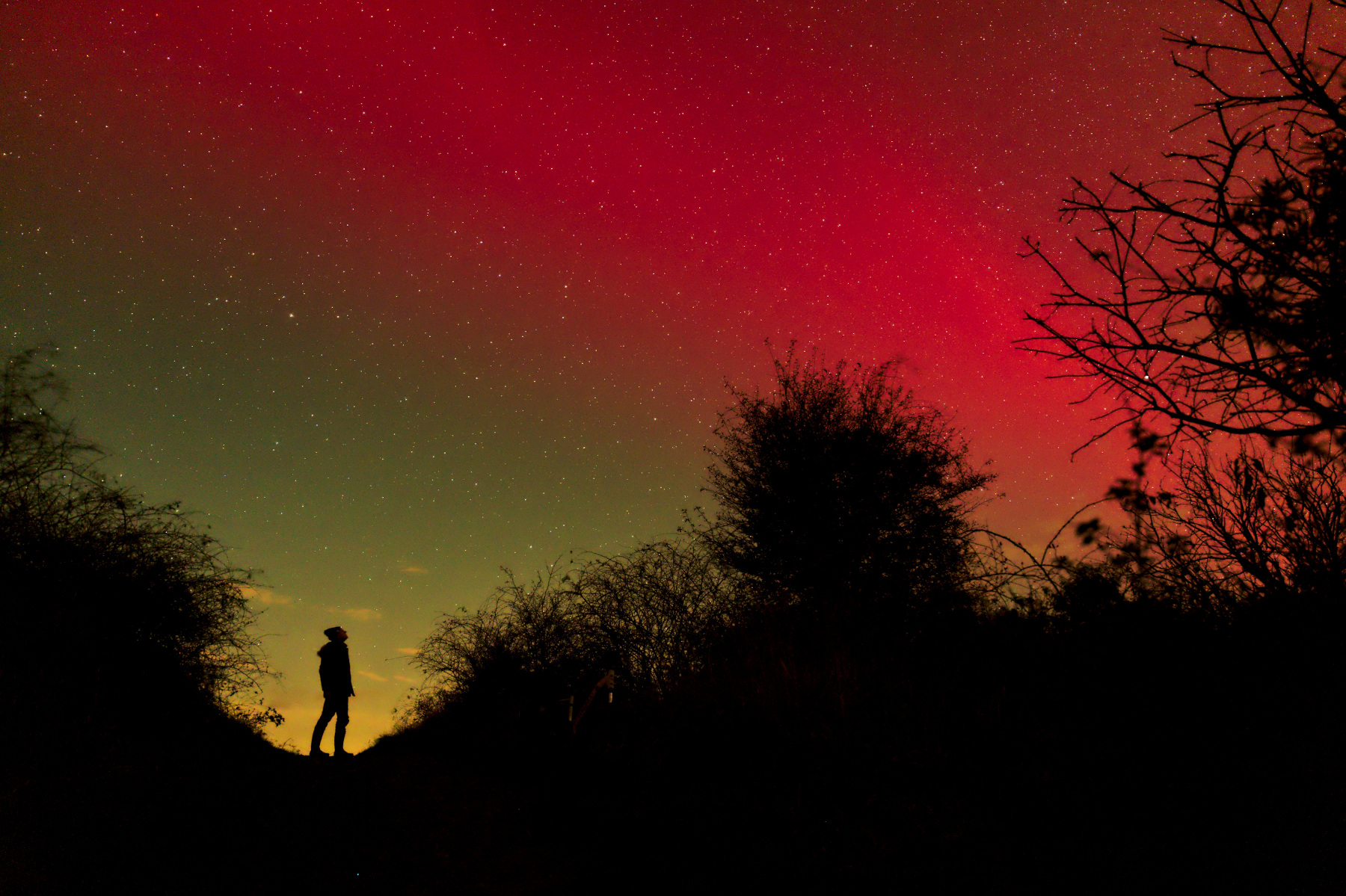 een silhouet kijkt naar de lucht met rode kleur en sterren.