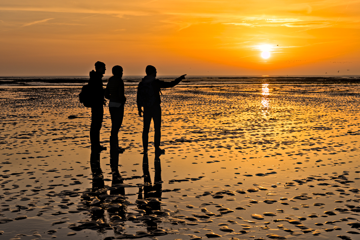 drie silhouetten bij zonsopkomst op de waddenzee. Laagwater.
