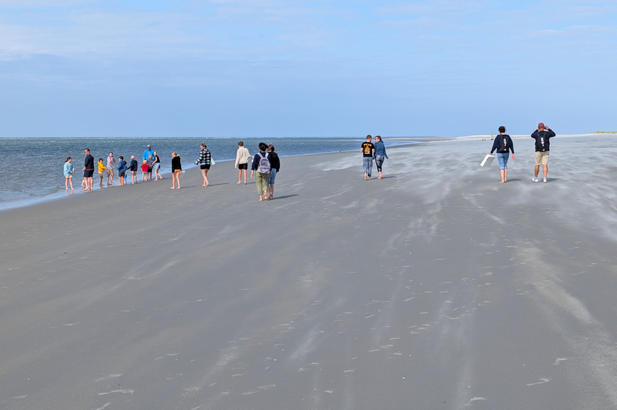 mensen op het strand