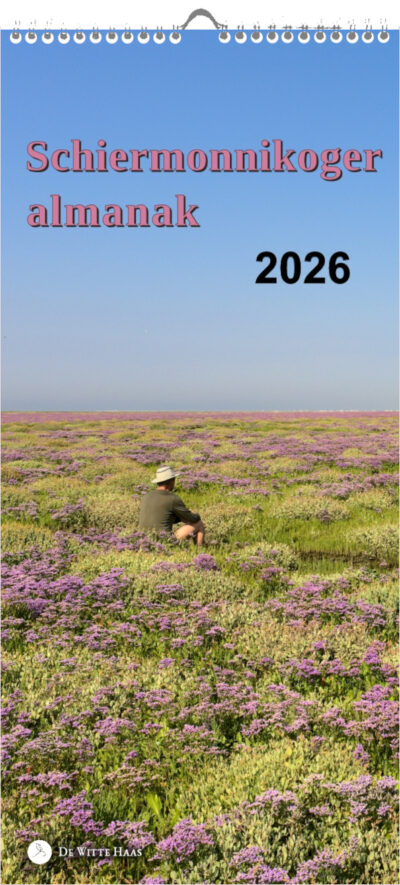iemand met hoed zit in een landschap vol roze lamsoorbloemen