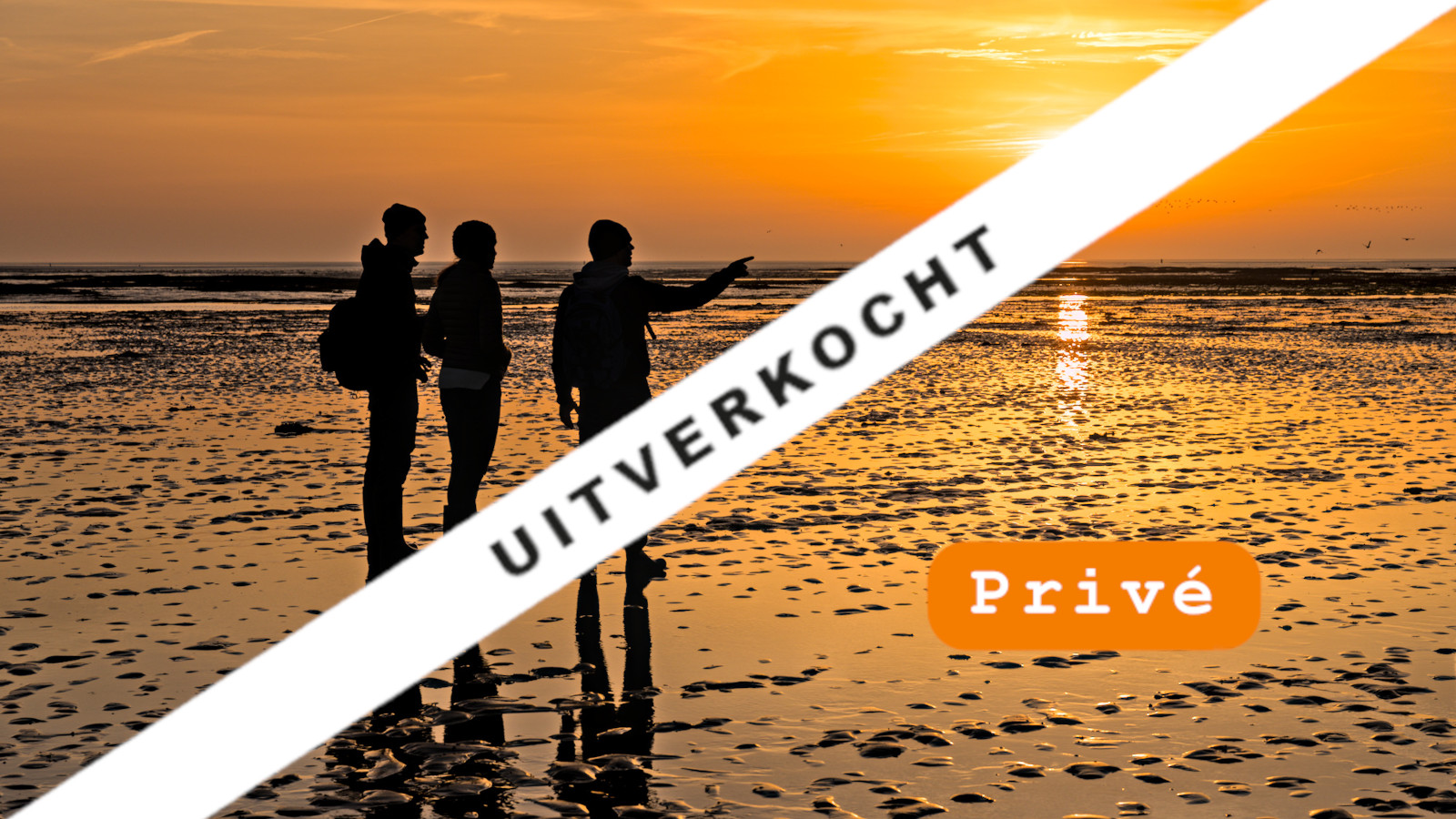 Zeebodemwandeling 21/10