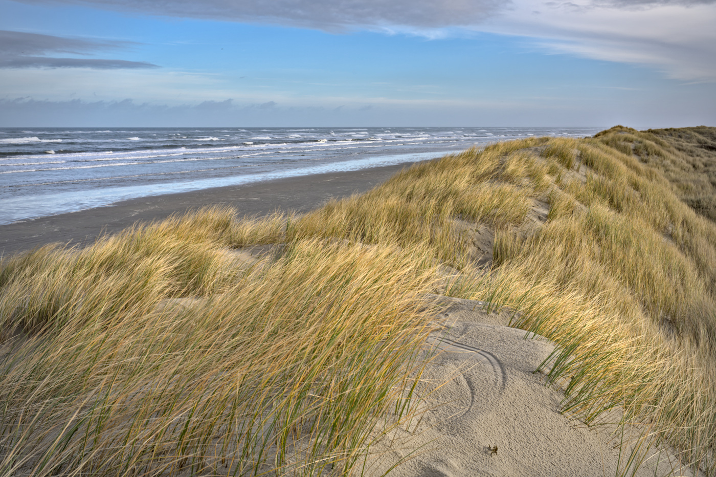 zicht over strand en zee vanop een met helm begroeide hoge duinenrij