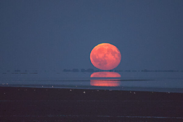 maansopkomst boven de Waddenzee