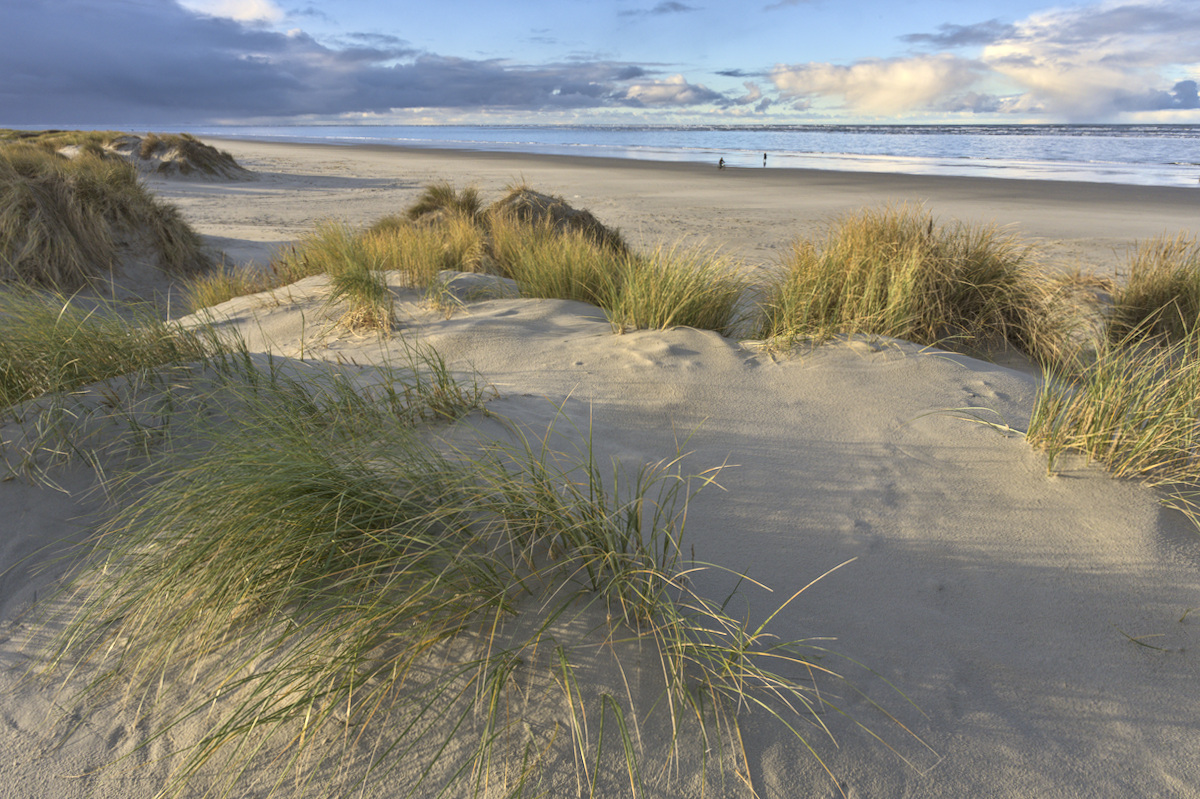 duinen met helm, strand en zee