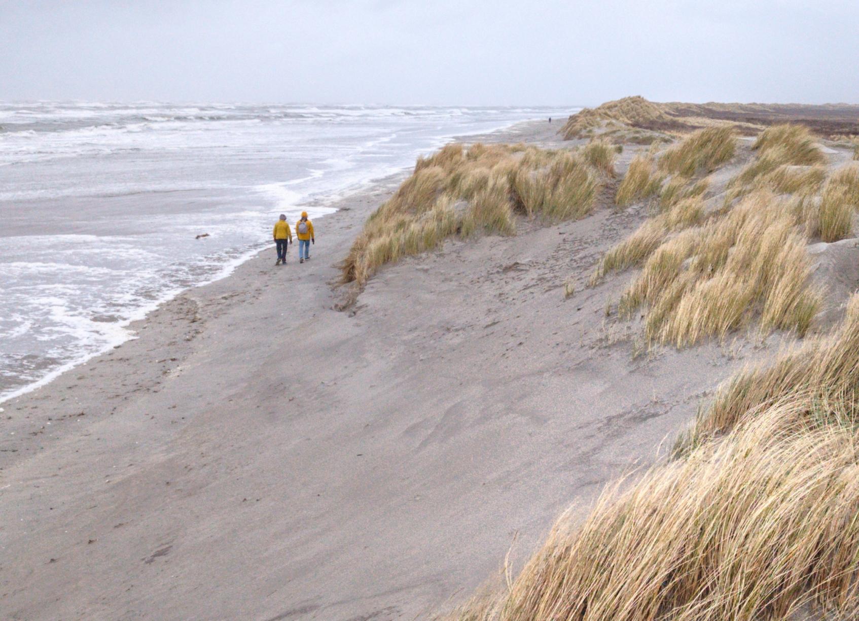 een smal strand tussen zee en duinen