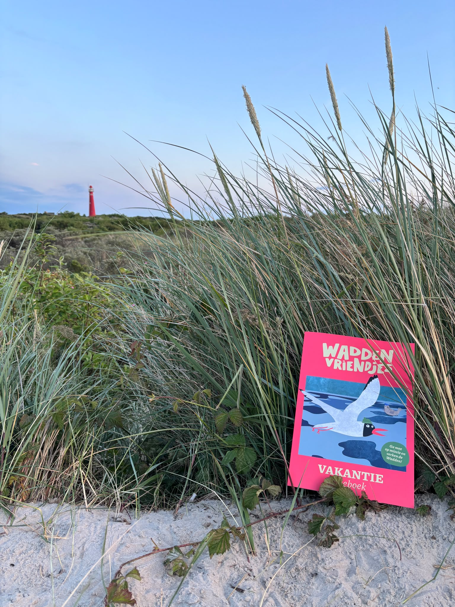 Vakantiedoeboek Waddenvriendjes - Afbeelding 2