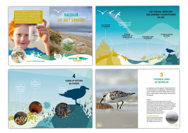 Boek Natuur op het strand - Afbeelding 2