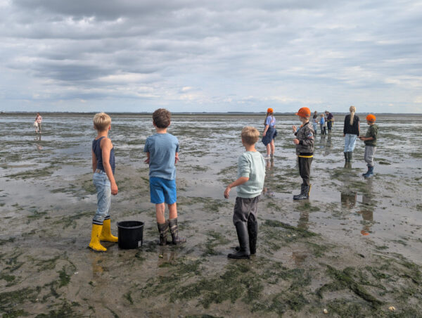 kinderen op het wad